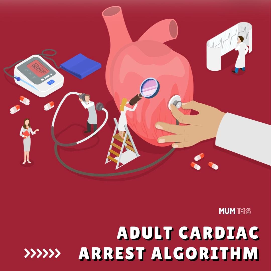 EMED 1 ACLS
